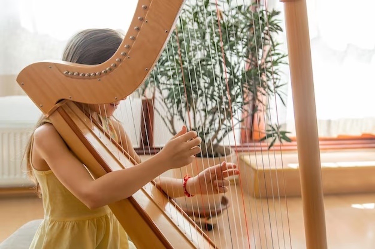 the-harp-is-a-very-personal-homecoming-slovenska-filharmonija